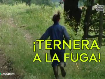 Imma, la ganadera, veterinaria y ultrarunner que corre con sus vacas por la montaña de Girona