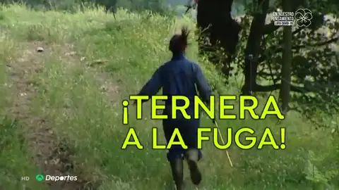 Imma, la ganadera, veterinaria y ultrarunner que corre con sus vacas por la montaña de Girona Imma, la ganadera, veterinaria y ultrarunner que corre con sus vacas por la montaña de Girona