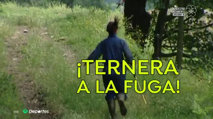 Imma, la ganadera, veterinaria y ultrarunner que corre con sus vacas por la montaña de Girona Imma, la ganadera, veterinaria y ultrarunner que corre con sus vacas por la montaña de Girona