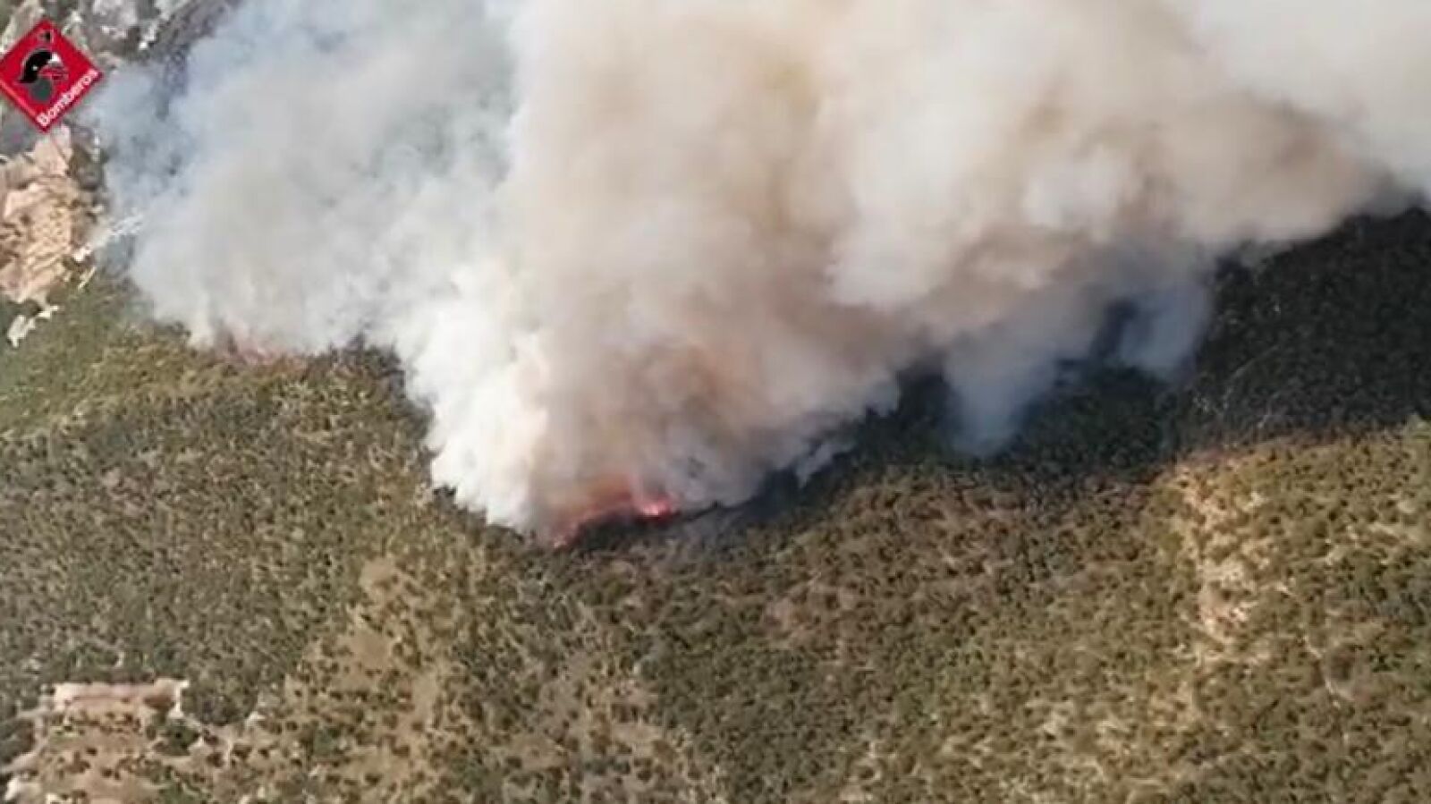 Incendio forestal en Monóvar, en Alicante 