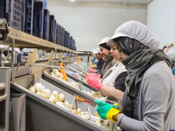 Trabajadoras en un almacén 