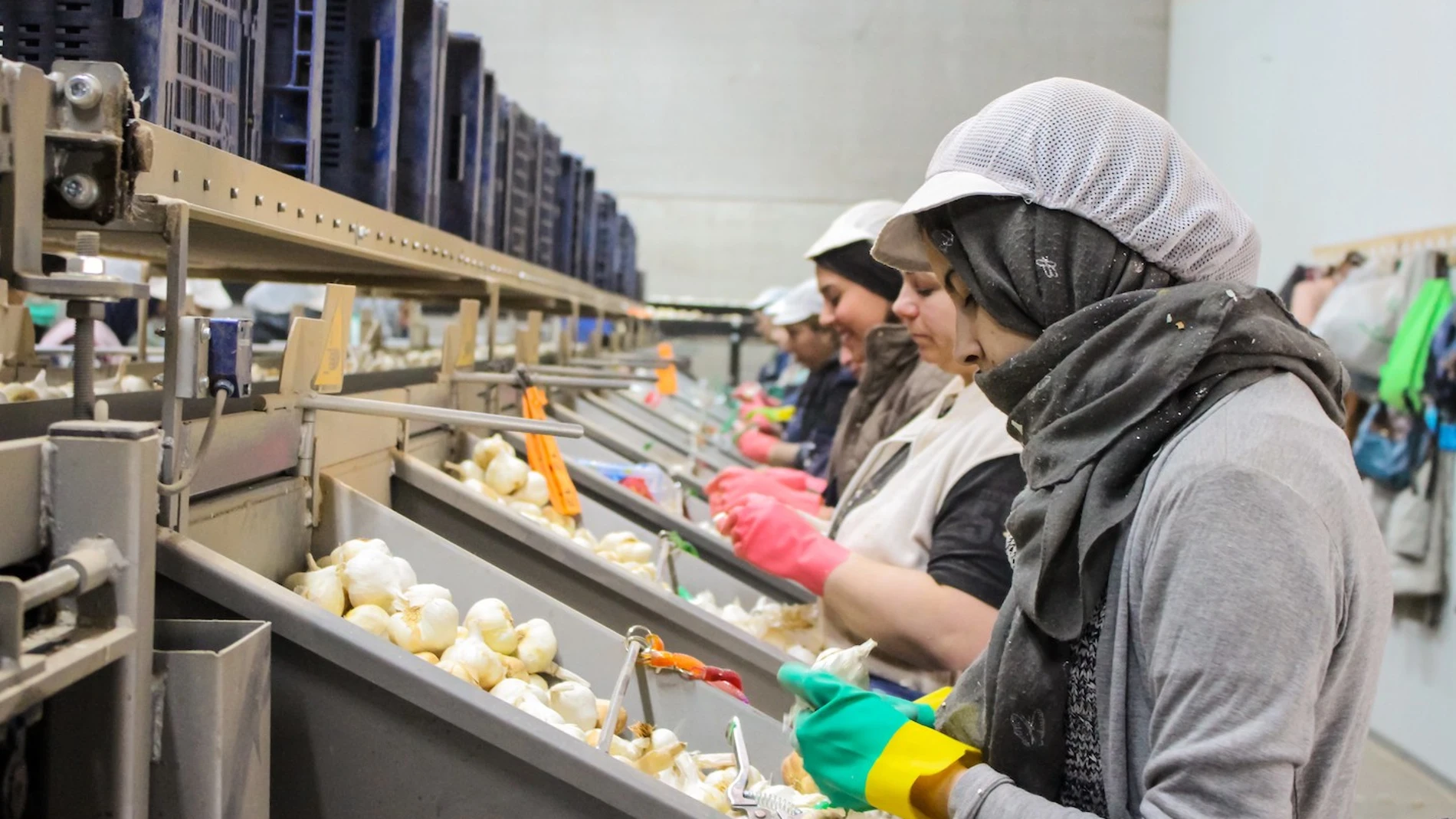 Trabajadoras en un almacén Trabajadoras en un almacén