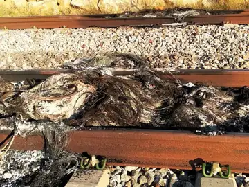 Vías del tren entre Figueres y Girona Vías del tren entre Figueres y Girona