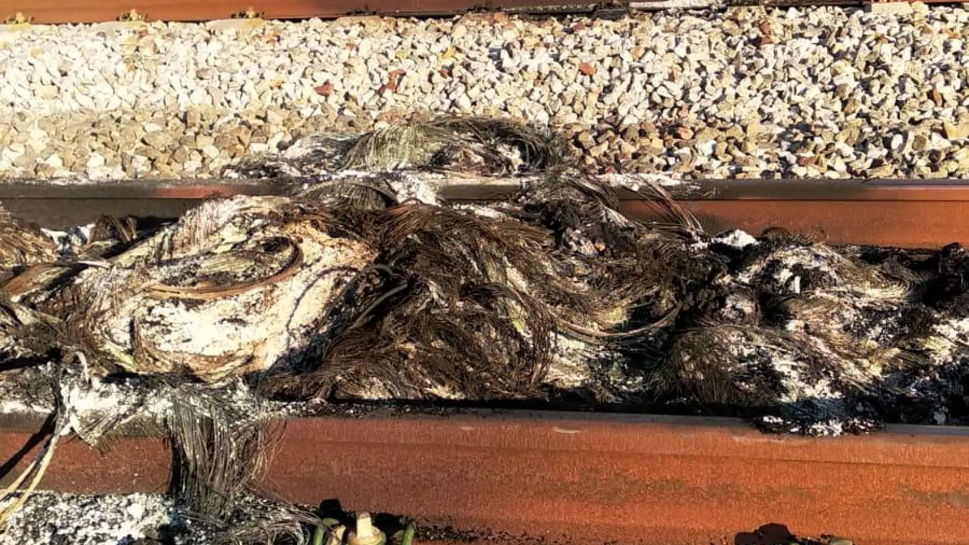 Vías del tren entre Figueres y Girona Vías del tren entre Figueres y Girona