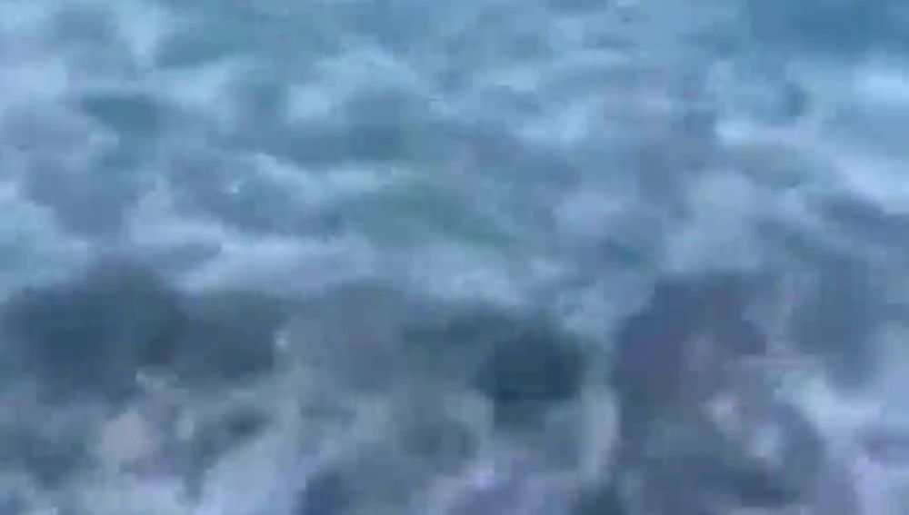 Un policía fuera de servicio rescata a un niño del ataque de un tiburón 