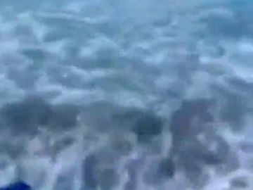 Un policía fuera de servicio rescata a un niño del ataque de un tiburón 