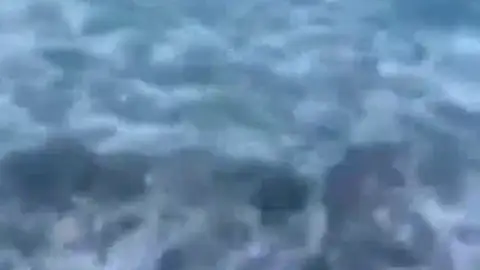Un policía fuera de servicio rescata a un niño del ataque de un tiburón Un policía fuera de servicio rescata a un niño del ataque de un tiburón