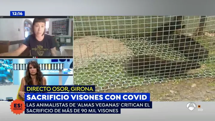 nueva amlas veganas