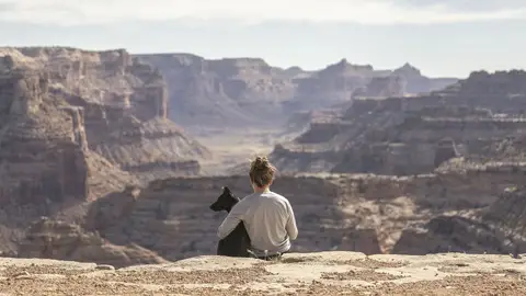 Vacaciones 2020: Cómo viajar con perro Vacaciones 2020: Cómo viajar con perro