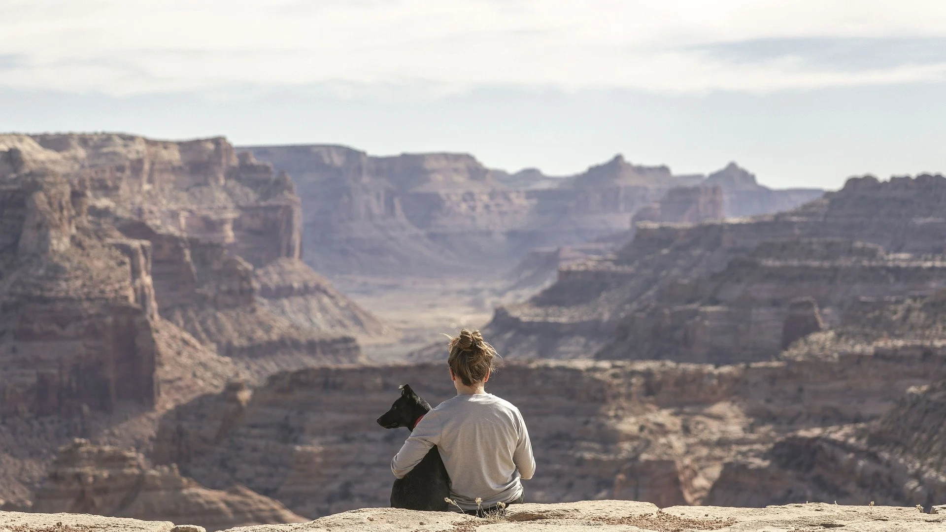 Vacaciones 2020: C&oacute;mo viajar con perro