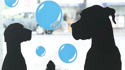 Día Mundial del Perro 2020. Servicio Spa para perros. Día Mundial del Perro 2020. Servicio Spa para perros.