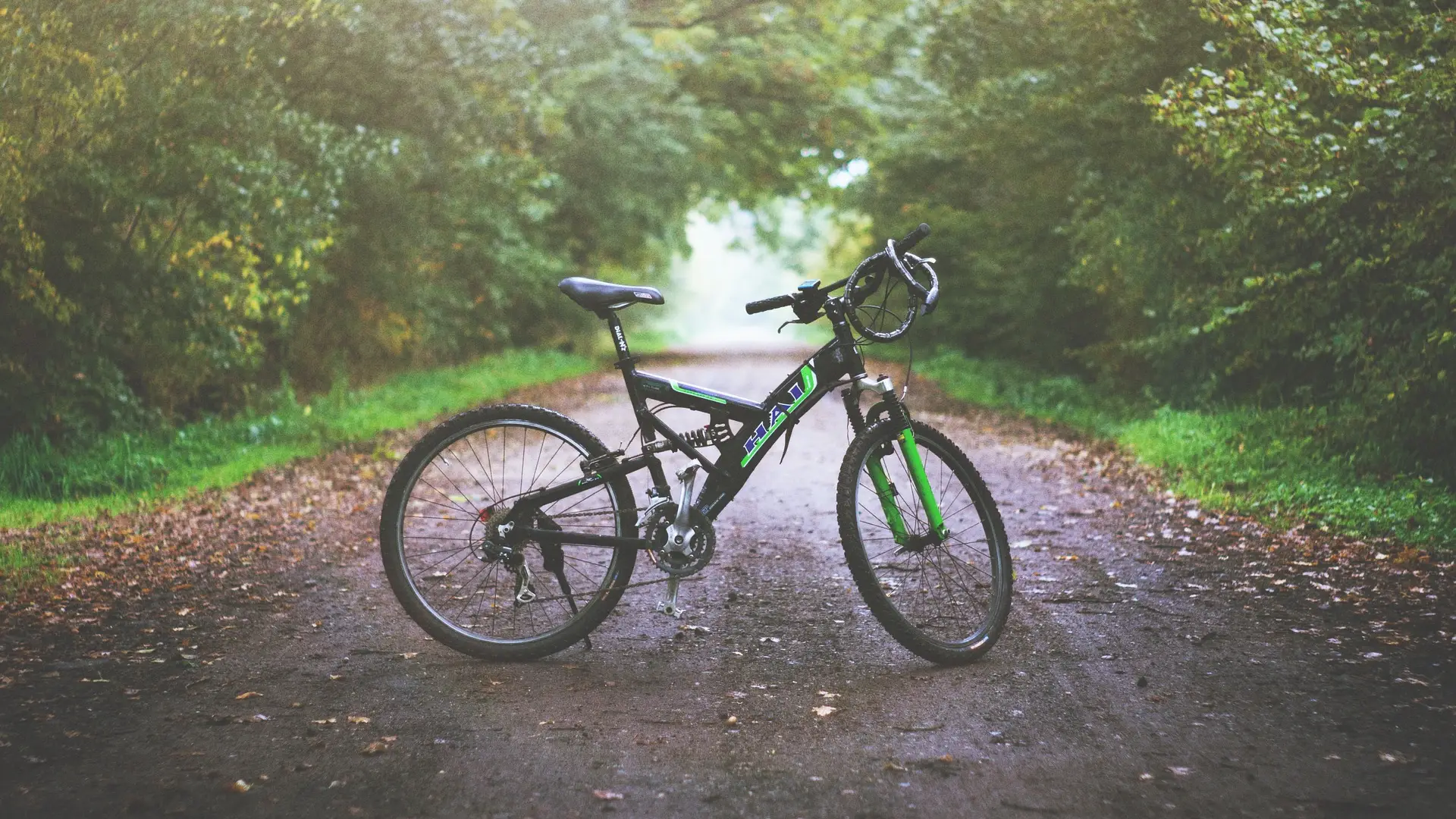 Viaja de Escocia a Grecia en bicicleta tras quedarse sin vuelos por el coronavirus Viaja de Escocia a Grecia en bicicleta tras quedarse sin vuelos por el coronavirus