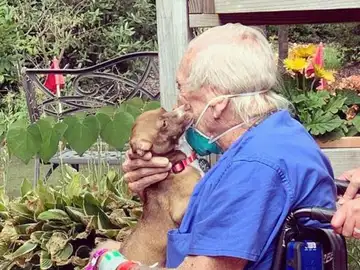 Un anciano salva la vida gracias al entrenamiento de su perro Un anciano salva la vida gracias al entrenamiento de su perro
