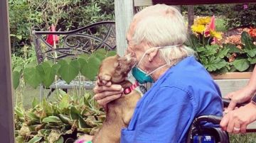 Un perrito salva la vida a su dueño, anciano de 86 años, sufrir un derrame cerebral en Carolina del Norte