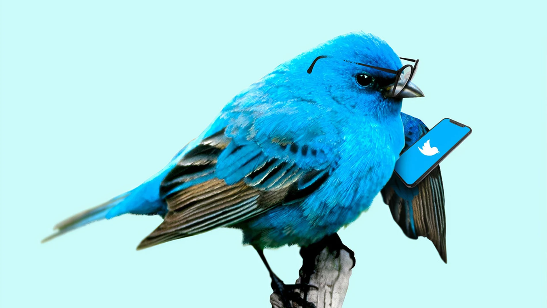 Twitter Twitter