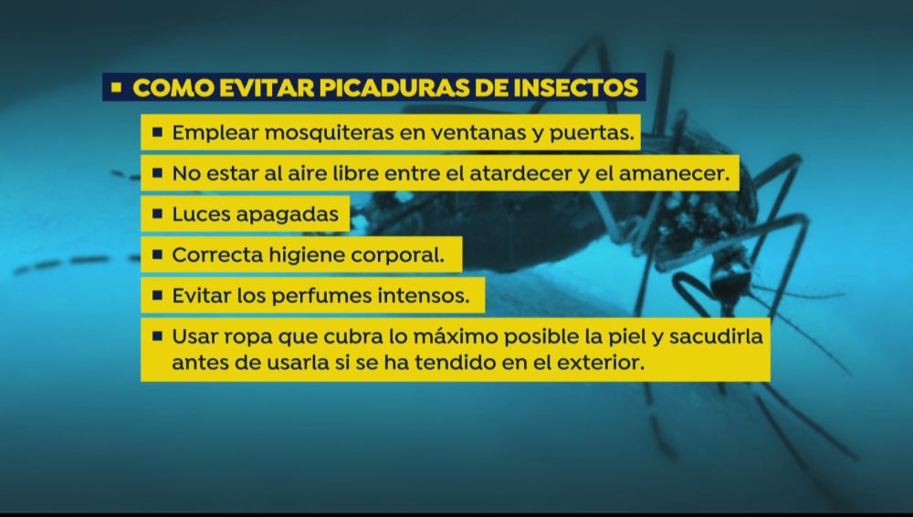 Las recomendaciones para evitar la picadura del mosquito invasor 'Aedes japonicus' que transmite la meningoencefalitis