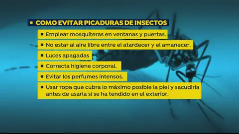 Las recomendaciones para evitar la picadura del mosquito invasor 'Aedes japonicus' que transmite la meningoencefalitis Las recomendaciones para evitar la picadura del mosquito invasor 'Aedes japonicus' que transmite la meningoencefalitis