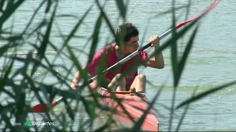 El virus del Nilo preocupa a los piragüistas del Guadalquivir: "Es un problema grave" El virus del Nilo preocupa a los piragüistas del Guadalquivir: "Es un problema grave"