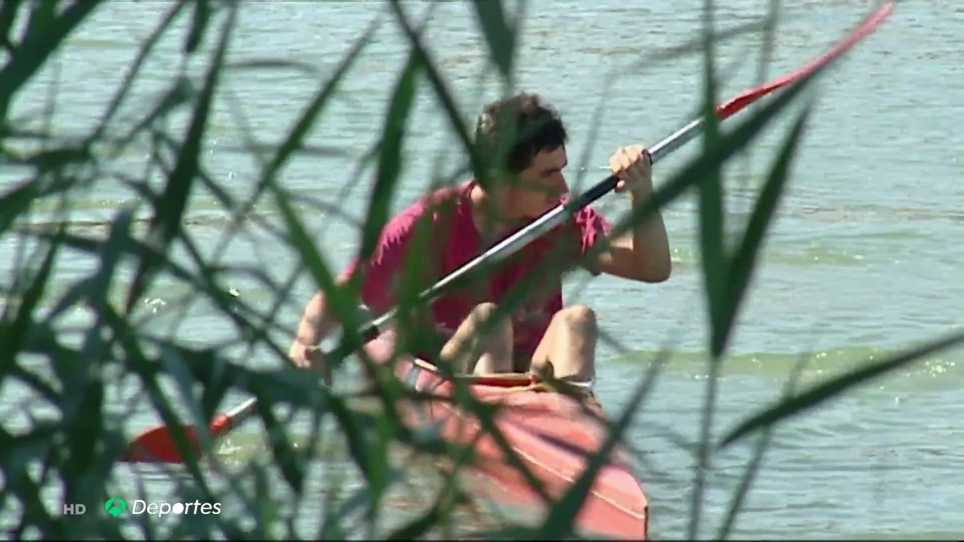 El virus del Nilo preocupa a los piragüistas del Guadalquivir: "Es un problema grave" El virus del Nilo preocupa a los piragüistas del Guadalquivir: "Es un problema grave"