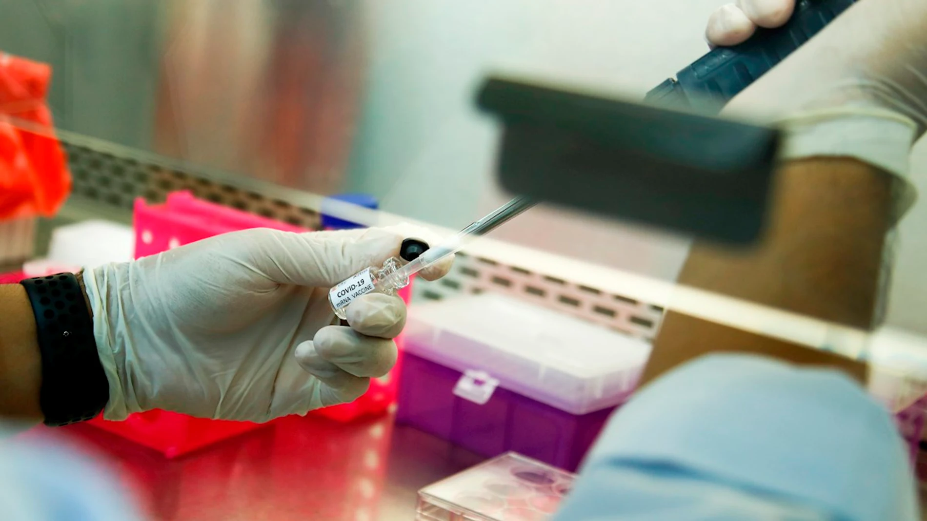 Investigación en un laboratorio Investigación en un laboratorio