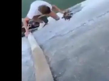 Unos jóvenes salvan a un zorro en Roquetas de Mar Unos jóvenes salvan a un zorro en Roquetas de Mar