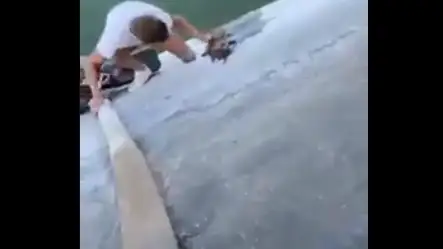 Unos jóvenes salvan a un zorro en Roquetas de Mar Unos jóvenes salvan a un zorro en Roquetas de Mar