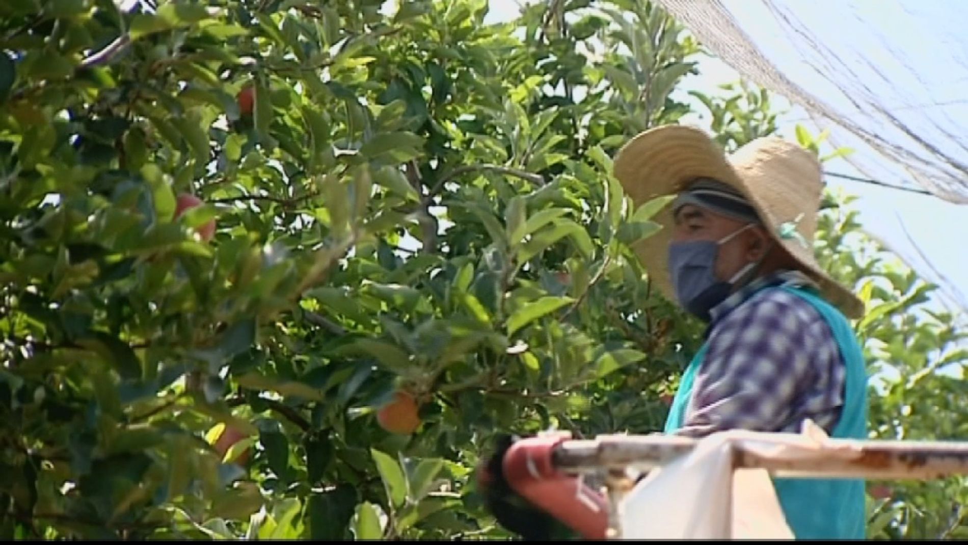 Lorenzo Ramos, secretario general de UPA: "El campo es seguro, se est&aacute;n haciendo controles para todos los que vienen de fuera"