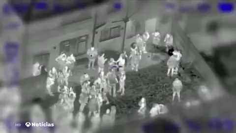 FIESTA FIESTA