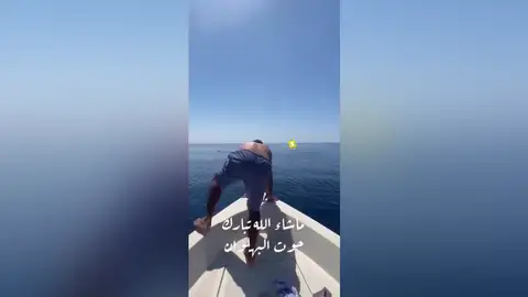 Un hombre salta sobre un tiburón ballena en Arabia Saudita y se vuelve viral Un hombre salta sobre un tiburón ballena en Arabia Saudita y se vuelve viral