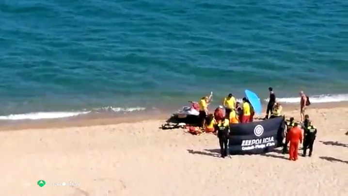 Conmoción en la Platja d’Aro tras la muerte de un joven de 16 años por la picadura de un pez araña: Conmoción en la Platja d’Aro tras la muerte de un joven de 16 años por la picadura de un pez araña: