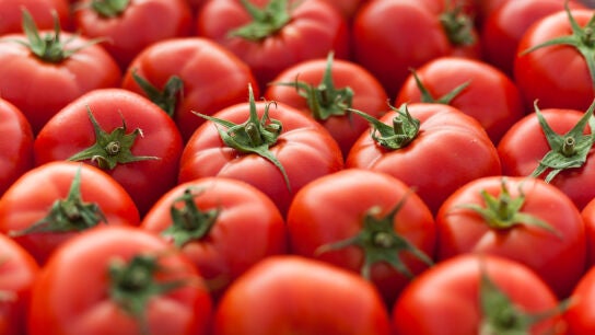 Tomates