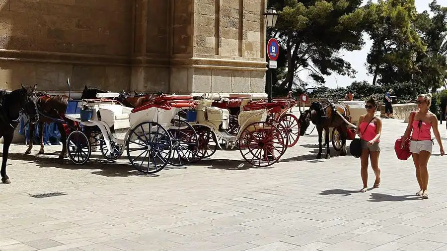 Lanzan una campa&ntilde;a para acabar con los caballos de calesas: "Turista s&aacute;lvame, acaba con mi sufrimiento"