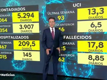  Nueva radiografía de datos de coronavirus: Un 13,3% de los ingresados están en la UCI