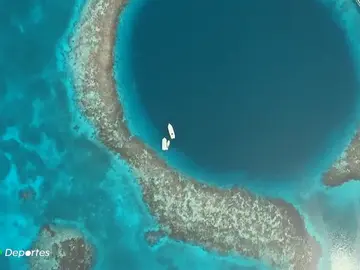 holebelice holebelice