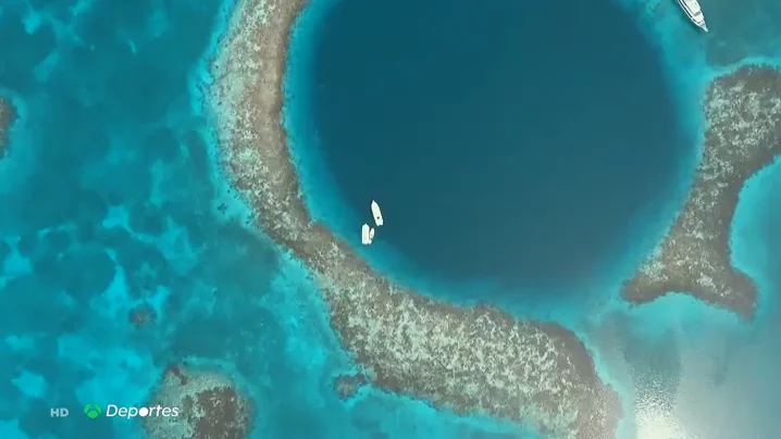 holebelice