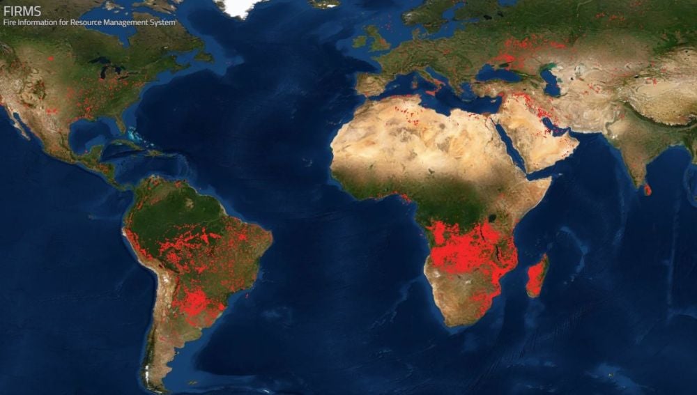 La preocupante situación que vive el Amazonas y África por los incendios forestales