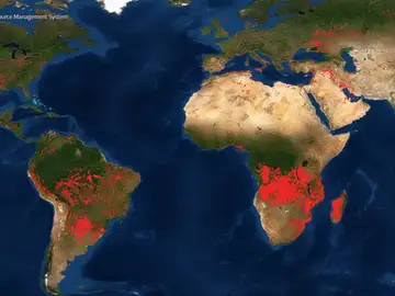La preocupante situación que vive el Amazonas y África por los incendios forestales La preocupante situación que vive el Amazonas y África por los incendios forestales