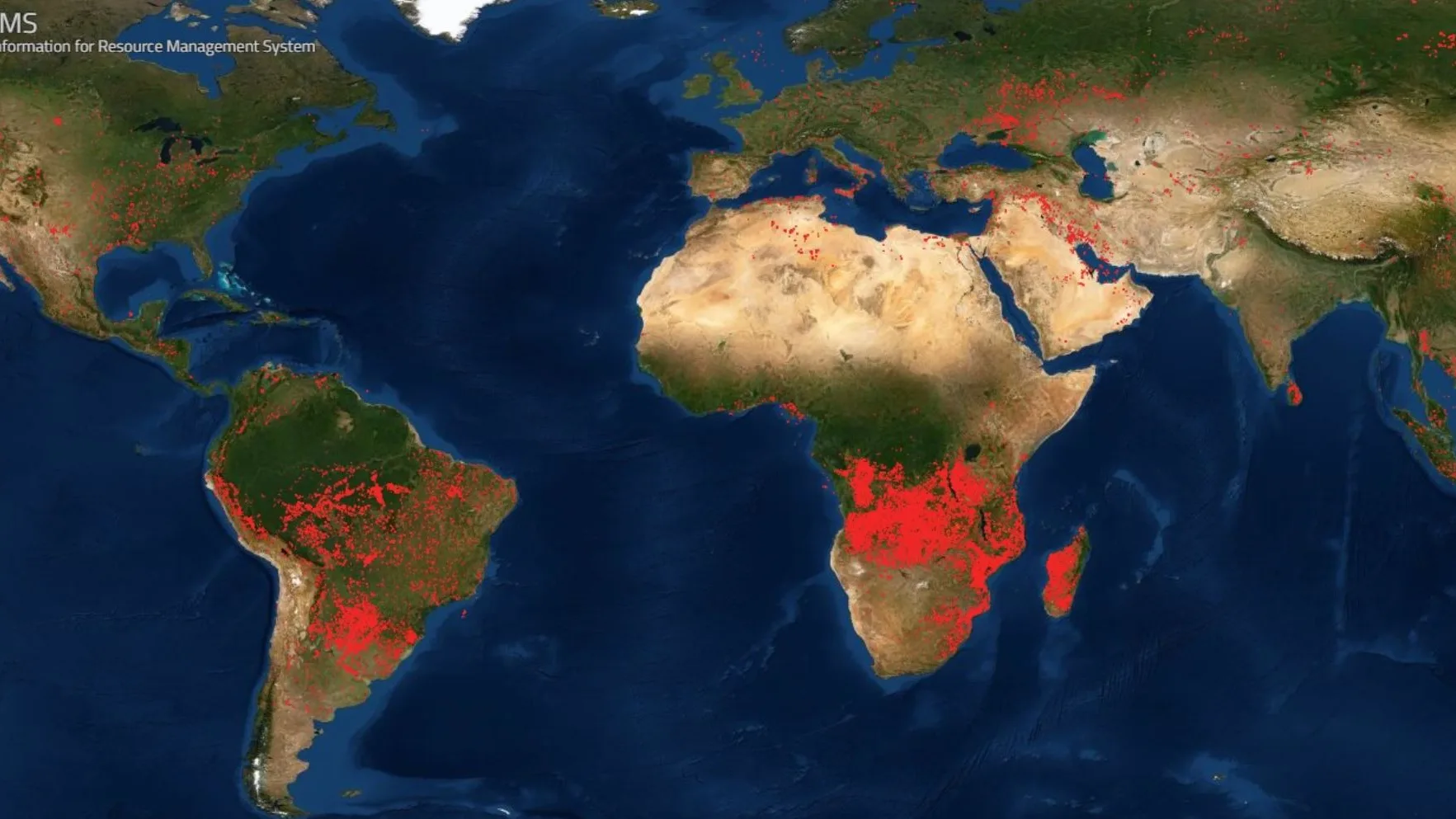 La preocupante situaci&oacute;n que vive el Amazonas y &Aacute;frica por los incendios forestales