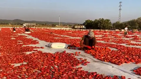 Estos son los tomates secos de Turquía que triunfan en la cocina mediterránea Estos son los tomates secos de Turquía que triunfan en la cocina mediterránea