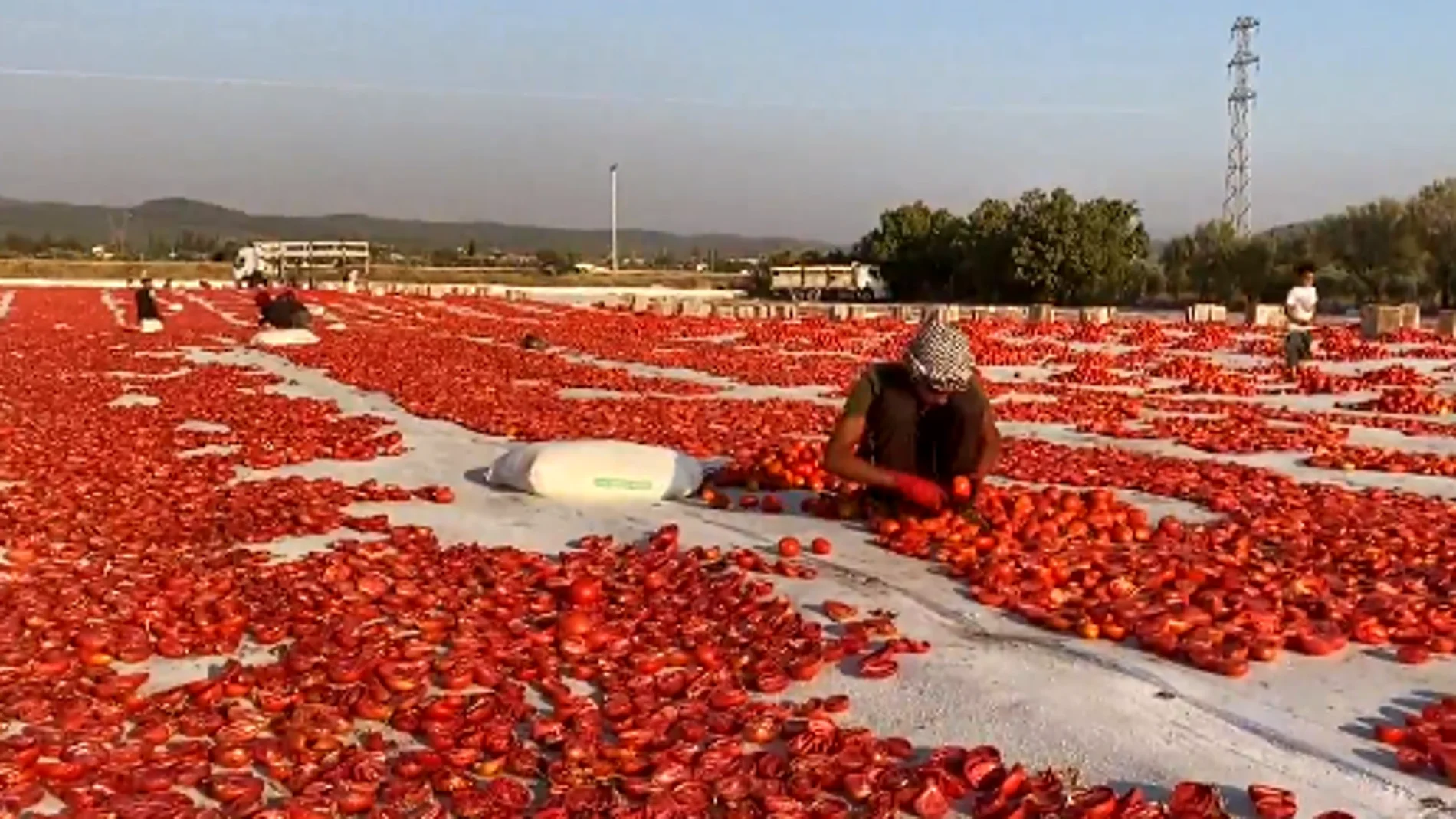 Estos son los tomates secos de Turquía que triunfan en la cocina mediterránea