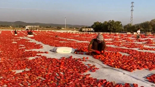 Estos son los tomates secos de Turquía que triunfan en la cocina mediterránea Estos son los tomates secos de Turquía que triunfan en la cocina mediterránea
