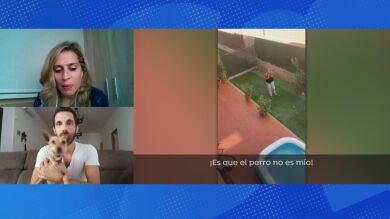 Maltrato animal en Sevilla: 