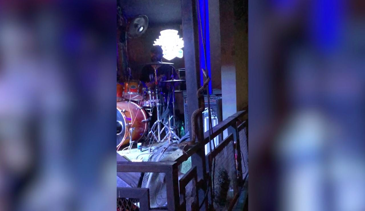 una serpiente interrumpe el concierto de una banda
