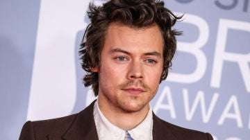 El cantante Harry Styles