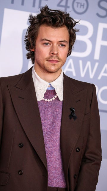 El cantante Harry Styles