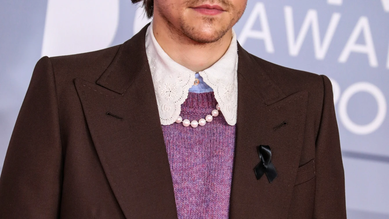 El cantante Harry Styles El cantante Harry Styles
