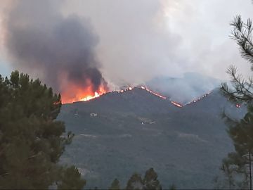 Incendio en Cualedro (Ourense)