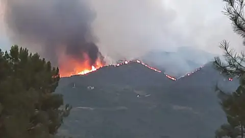 Incendio en Cualedro (Ourense) Incendios forestales