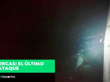 Las orcas siguen acosando barcos en las aguas de Galicia