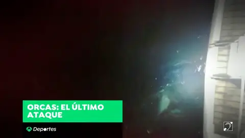 Las orcas siguen acosando barcos en las aguas de Galicia Las orcas siguen acosando barcos en las aguas de Galicia